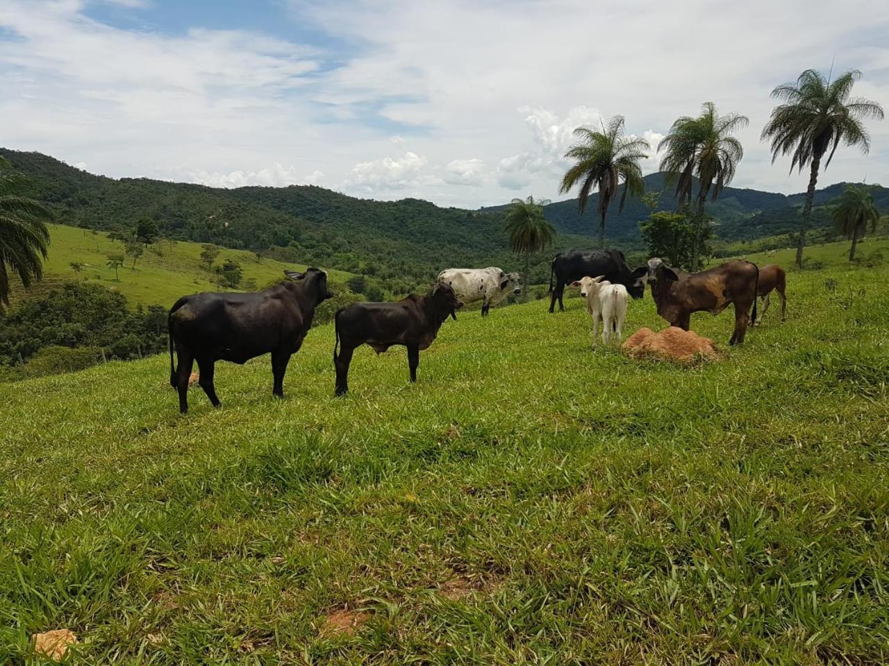 Pousada Rancho Flores Caete Ngoại thất bức ảnh